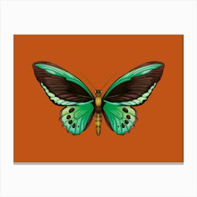 Green Butterfly Canvas Print