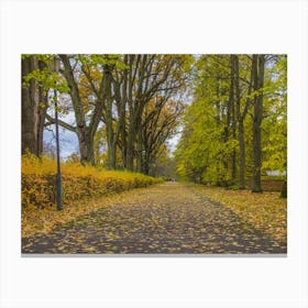 Autumn In The Park Canvas Print