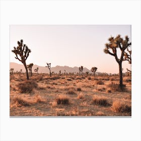 Hot Desert Scenery Canvas Print