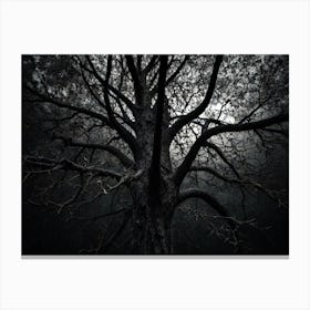 Tree In The Dark Canvas Print