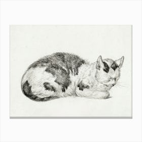 Lying Cat (1828), Jean Bernard Canvas Print
