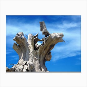 Dead Tree Against Blue Sky Canvas Print