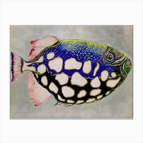 Flamingo Fish Canvas Print