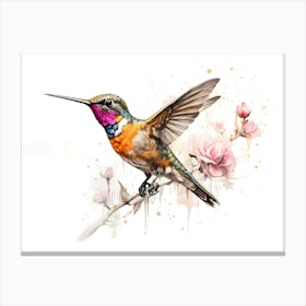 Kolibri Hummingbird - Water Color Painting 4 Canvas Print