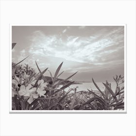 Flowers By The Sea Canvas Print