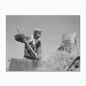 Worker At The Hay Chopper At The Casa Grande Valley Farms, Pinal County, Arizona By Russell Lee Canvas Print