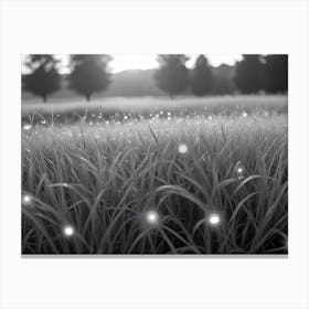 A Black And White Photo Of A Field Of Grass With Dew Drops On The Blades Canvas Print