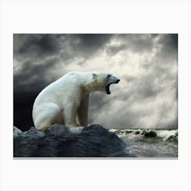 Polar Bear On Rock Canvas Print