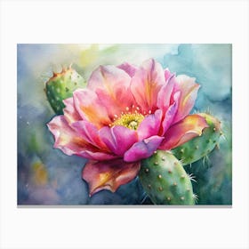 Cactus Flower 2 Canvas Print