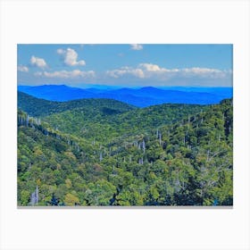 Blue Ridge Mountains Canvas Print