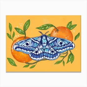 Moth Oranges Canvas Print