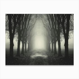 Dark Forest Path 1 Canvas Print