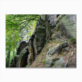 Trees and rocks in the Elbe Sandstone Mountains Canvas Print