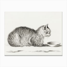 Lying Cat For A Dish, Jean Bernard Canvas Print