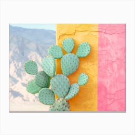 California Dreaming - Cactus Colorwall Canvas Print