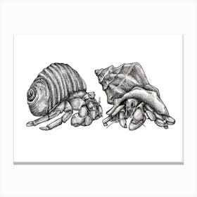 Hermit Crab Friends Black and White Ink Illustration 1 Canvas Print