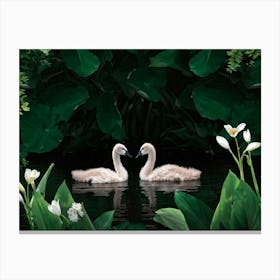 Cygnet Pair Nestled Among Greenery Embodying Purity And Elegance Beside A Serene Summer River Digi Canvas Print