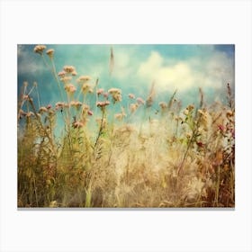 Wildflowers In The Meadow Canvas Print