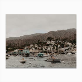 Catalina Island, California Canvas Print