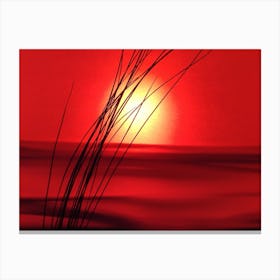 Sunset With Grass Canvas Print