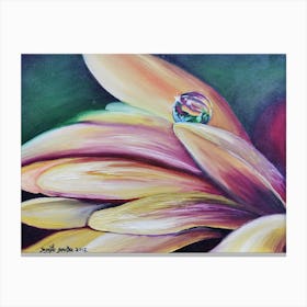 Water Drop On A Flower Canvas Print