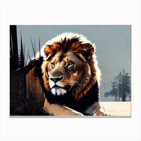 Lion king 12 Canvas Print
