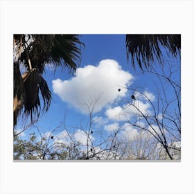 Cloud In The Sky 1 Canvas Print