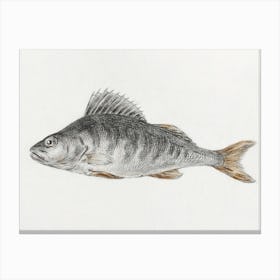 Fish 1, Jean Bernard Canvas Print