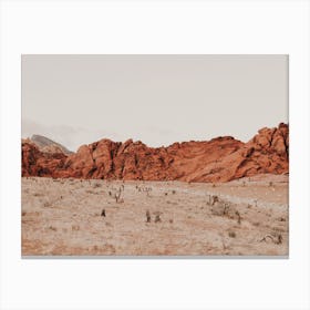 Nevada Red Rock Desert Canvas Print