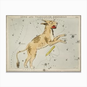 Sidney Hall’s (1831), Astronomical Chart Illustration Of Lynx And The Telescopium HerschilII Canvas Print