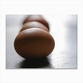 Row Of Brown Eggs 2 Canvas Print