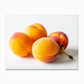 Apricots 1 Canvas Print