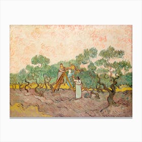 Women Picking Olives (1889), Vincent Van Gogh Canvas Print