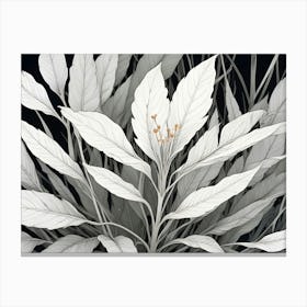 A Minimalist Image Of A Plant With White Leaves And Orange Flowers, Creating A Delicate And Elegant Design Against A Black Background Canvas Print