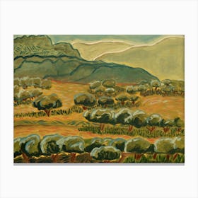 Sahara Pasture Canvas Print