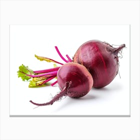 Beets 2 Canvas Print