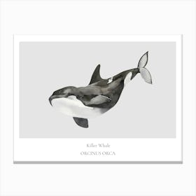 Orca Whale Canvas Print