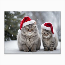 Two Cats In Santa Hats Canvas Print