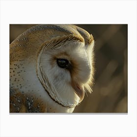 Barn Owl 19 Canvas Print