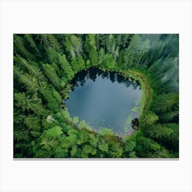 Pond In The Forest Canvas Print