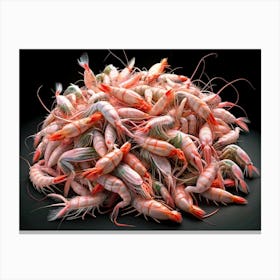 Pile Of Pink Shrimps On A Black Background Canvas Print