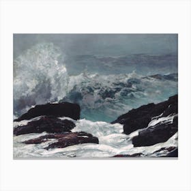 Maine Coast (1896), Winslow Homer Canvas Print