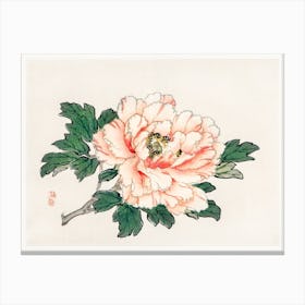 Pink Rose, Kōno Bairei Canvas Print