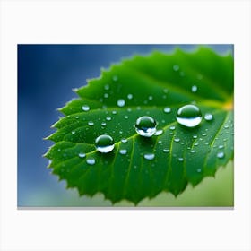 Waterdrops On Plants 06 Canvas Print