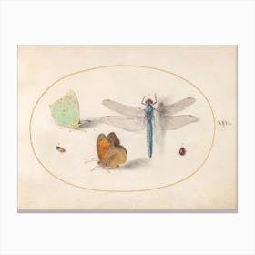 Two Butterflies, A Dragonfly, And Two Small Insects (C Canvas Print