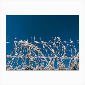 Unitltled 25 - Snow in the Vineyard Series Canvas Print
