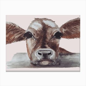 Calf Watercolour 1 Leinwandbild