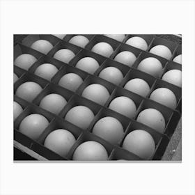 Sonoma Count, California, Eggs By Russell Lee Canvas Print