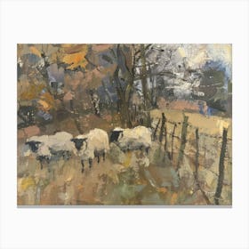 Sheep In The Field 2 Canvas Print