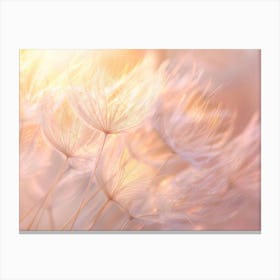 Dandelion In The Sunlight Canvas Print